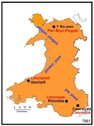 7061_CYMRU_OREN_pia_081107