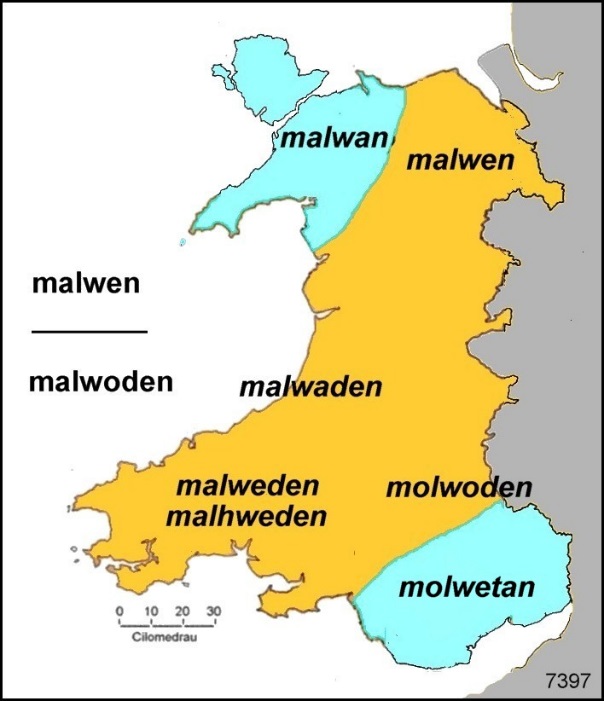 7436_map_llwyd_cymru_LLIW_onennau_meigion_090314