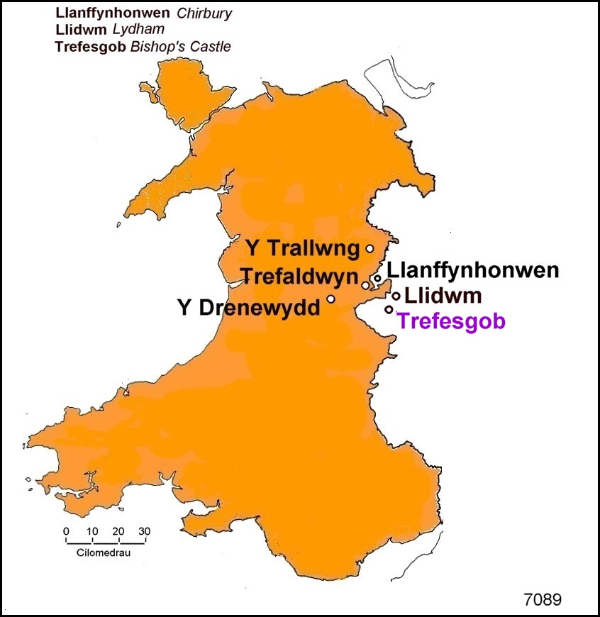 7322_cofiwch_dryweryn_wiki_090128