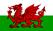 0193_baner-cymru